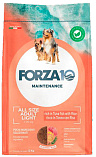 FORZA10 Maintenance Light (24/8) - "Форца 10" с тунцом и рисом для пожилых и склонных к ожирению собак