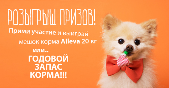 Aкция для заводчиков Aкция для заводчиков