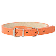 Mr.Kranch - Ошейник для собак из натуральной кожи прямой, 24-30см