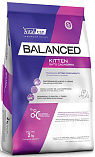 VITALCAN Balanced Kitten (35/16) - "Виталкан Балансед" для котят