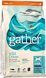 GATHER Wild Ocean Fish Dogs (30/15) – &quot;ГАЗЭ&quot; с океанической рыбой для собак