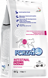 FORZA10 Intestinal Active (31,4/12) - "Форца 10 Актив" для взрослых кошек с проблемами пищеварения