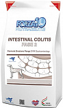 FORZA10 Active Intestinal Colitis Fase II (26/14) - &quot;Форца 10 Актив&quot; с рыбой для профилактики колитов у собак