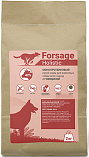 FORSAGE Holistic (20/8) - &quot;Форсаж&quot; монопротеиновый корм с высоким содержанием говядины для собак