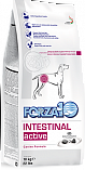 FORZA10 Active Intestinal (24/10,4) - &quot;Форца 10 Актив&quot; с рыбой для собак с нарушениями пищеварения